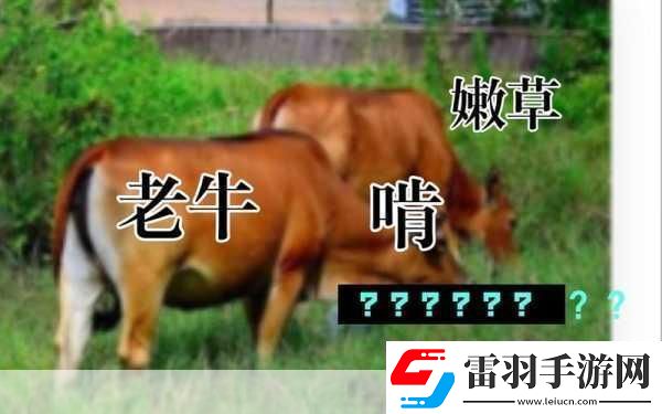 老牛嫩草一二三產(chǎn)品區(qū)別是什么