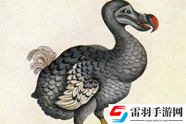 已經(jīng)滅絕的十大動(dòng)物