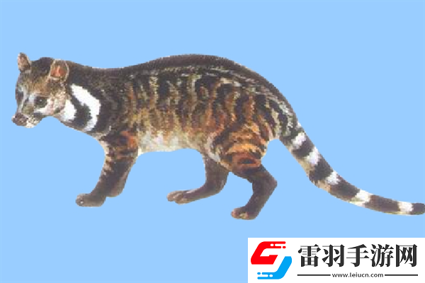 已經(jīng)滅絕的十大動(dòng)物