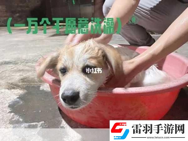 老牛嫩草一二三產(chǎn)品區(qū)別是什么