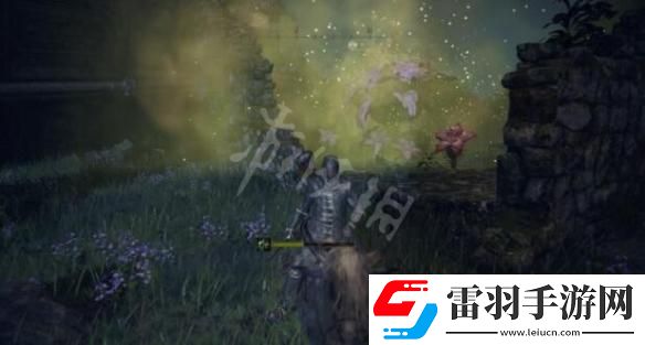 艾爾登法環(huán)王室卷軸給誰