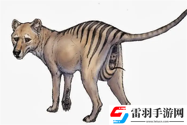 已經(jīng)滅絕的十大動(dòng)物