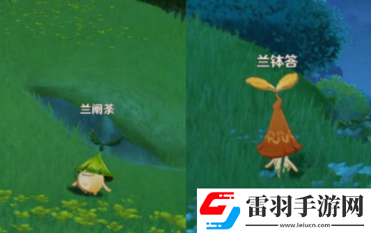 原神須請(qǐng)安全玩耍攻略