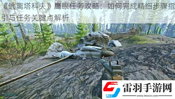 逃離塔科夫鷹眼任務(wù)攻略