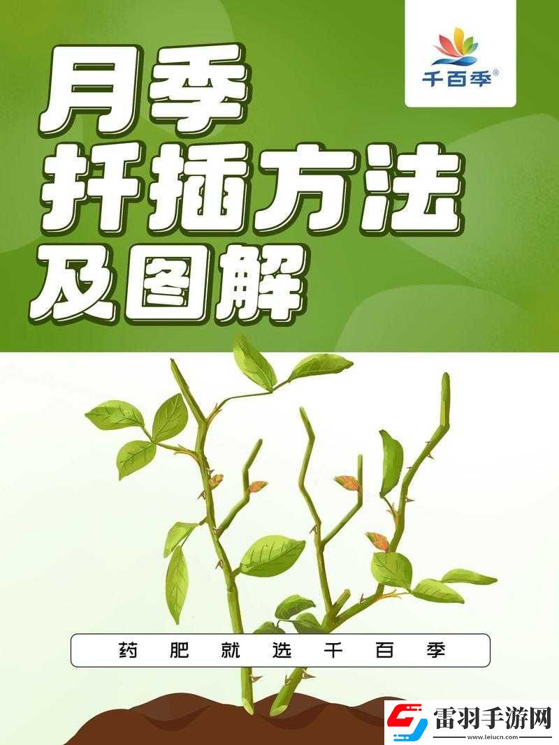 歐式