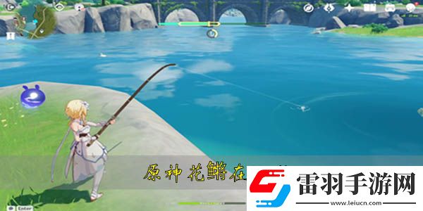 花鳉在哪釣