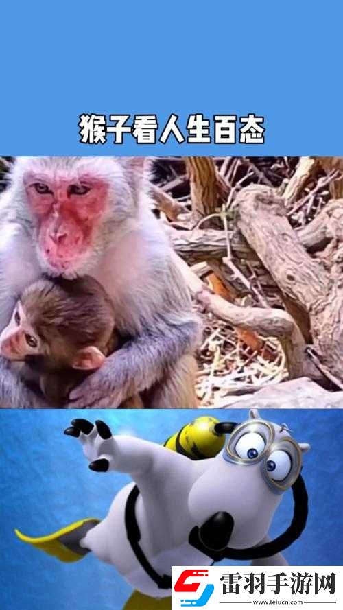 人生猴子不愛妹子
