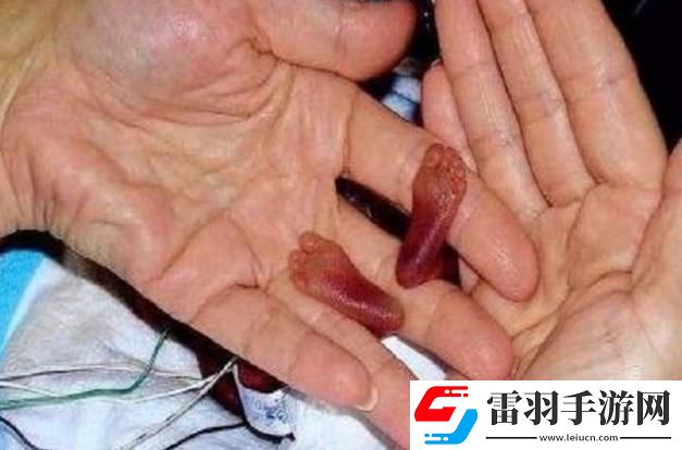 “微”觀世界