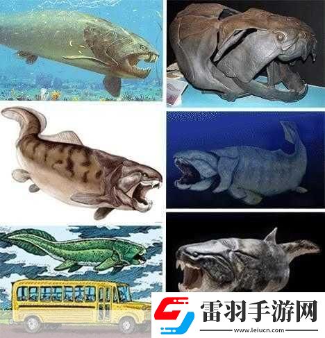 得到超級肉禽系統(tǒng)的紫嶺紅山有什么特別之處