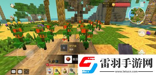 手工星球怎么種植開墾荒地種植方法介紹