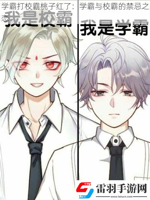 學(xué)霸打校霸桃子紅了