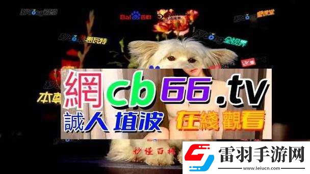 成品網源碼