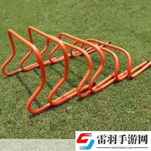 放學(xué)后的體育器材