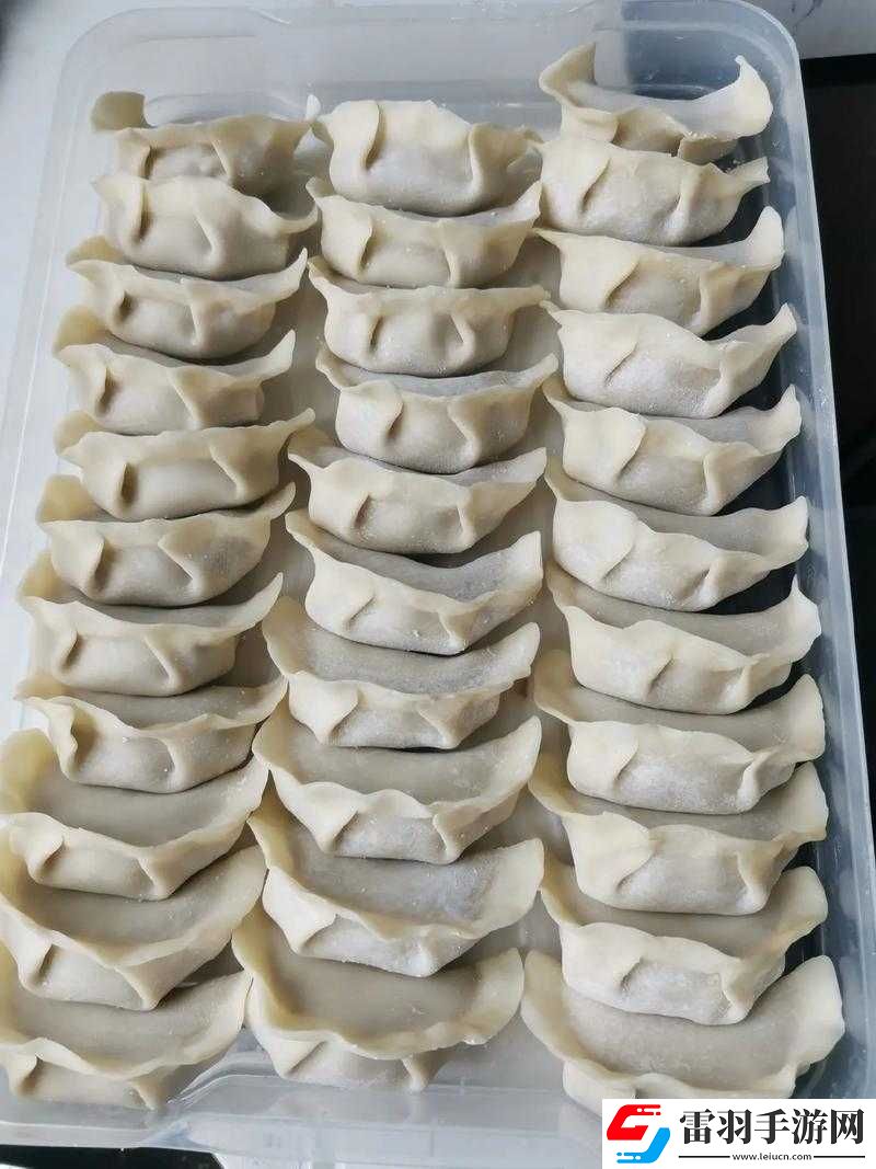 肉餡小水餃