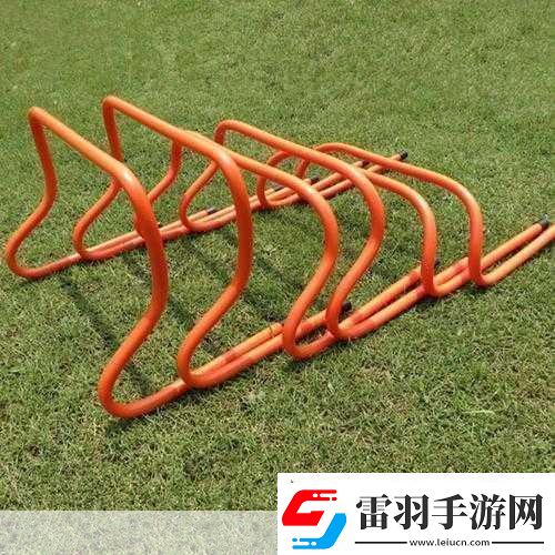 放學后的體育器材