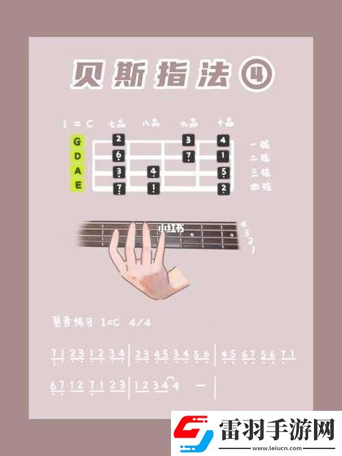 BBOX入門BASS