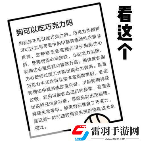 巧克力可以喂給狗吃嗎