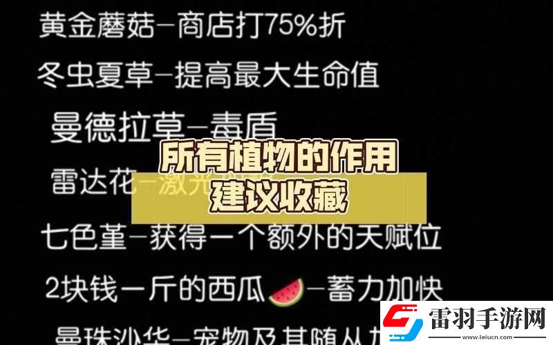 元?dú)怛T士冬蟲(chóng)夏草的作用及具體用法全面詳細(xì)解析