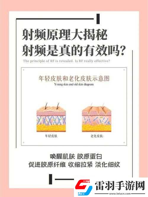 RF射頻的原理和作用