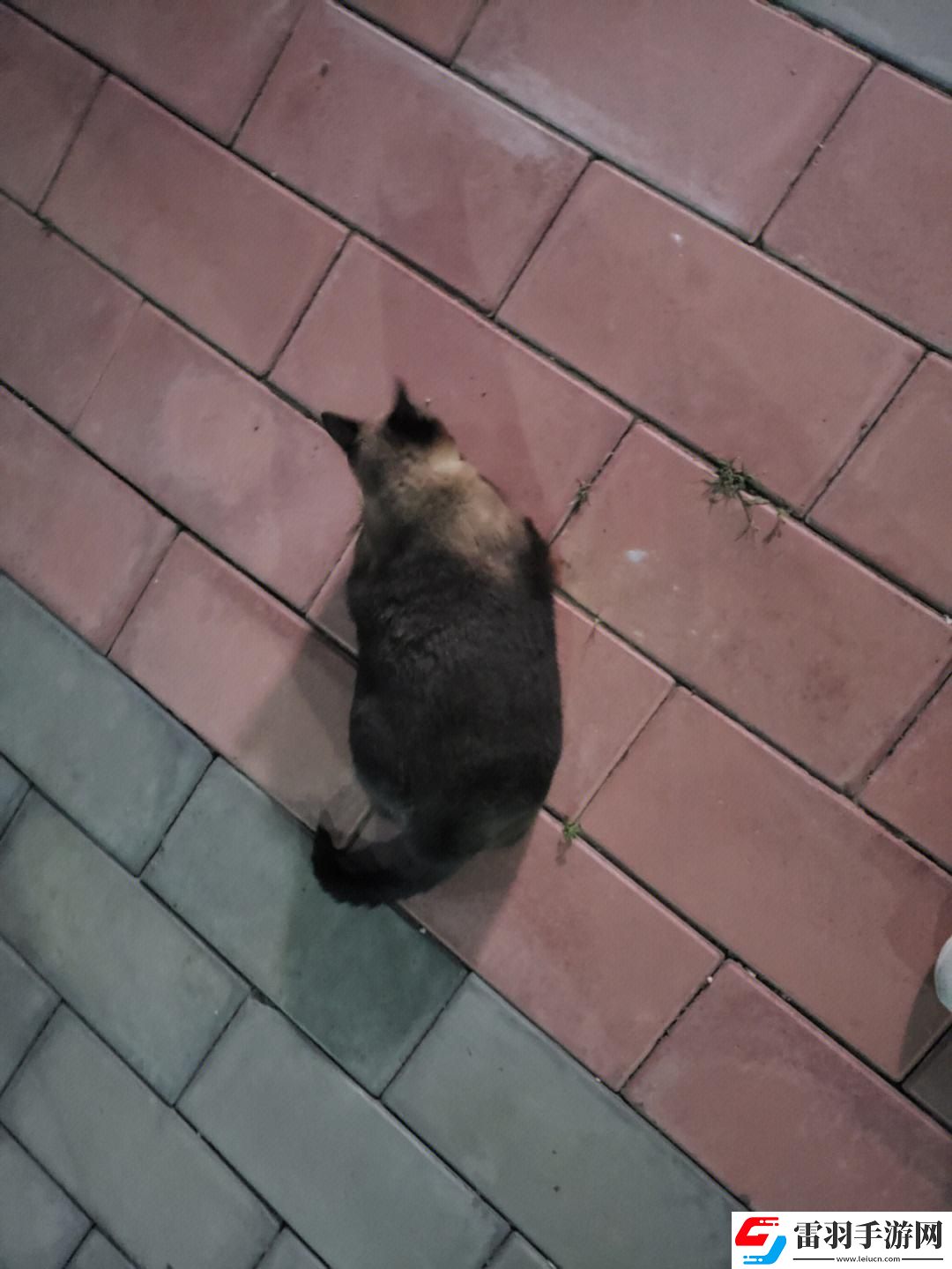 悠哉慢磨
