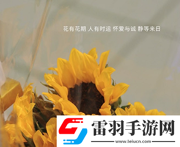 信任一旦崩塌就難以修復(fù)說說信任在一瞬間崩塌說說