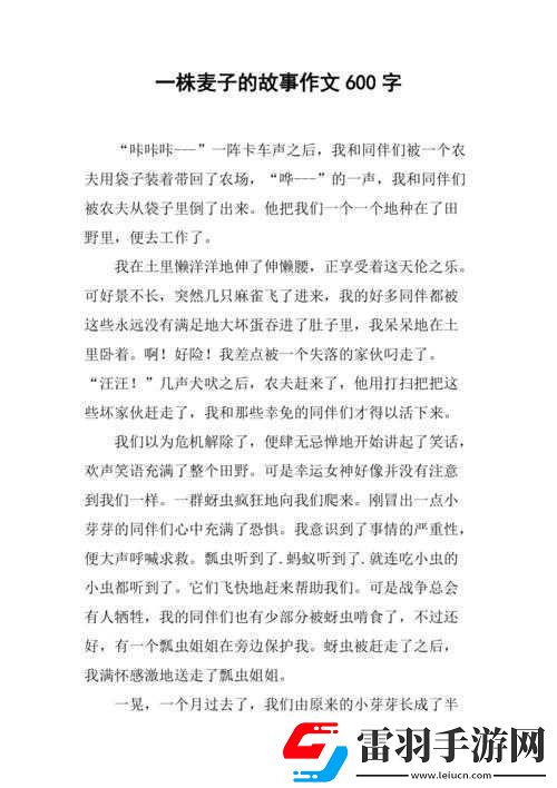 朋友麥子3的抵債之舉