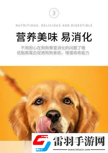 人狗膠配方大全狗狗全面解析狗狗營養(yǎng)配方與健康照護(hù)秘訣