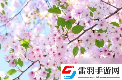 300好感原來(lái)你是個(gè)“玩弄”人心的家伙！