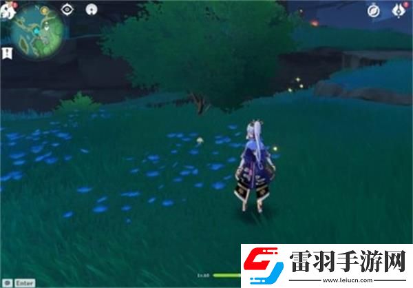 原神全手鞠獲取位置攻略