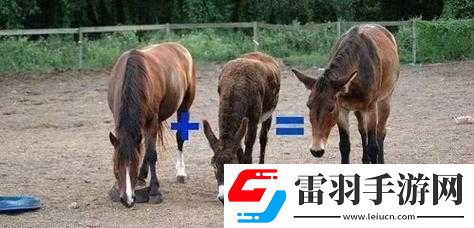 傻大壯長(zhǎng)著驢一樣的東西是什么