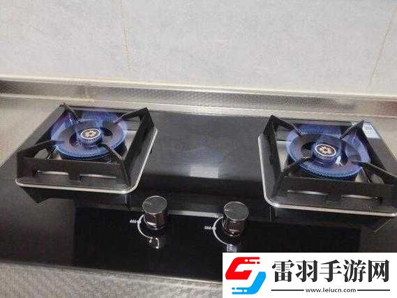 肉食家庭食取報(bào)告