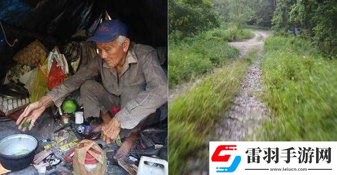 外國老人做交易森林