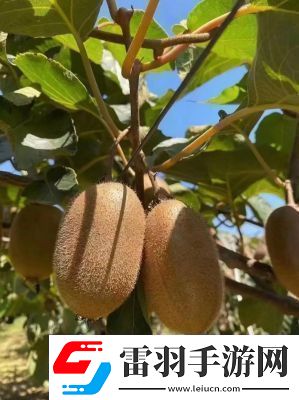 寶寶抬頭靠墻C動作的諸多益處