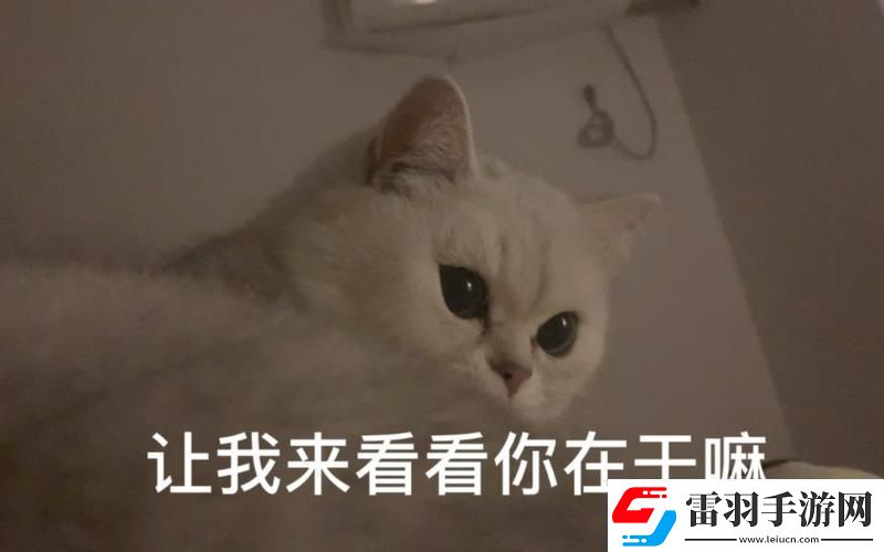 密碼密林探幽