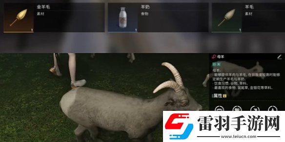 七日世界金羊毛怎么獲得
