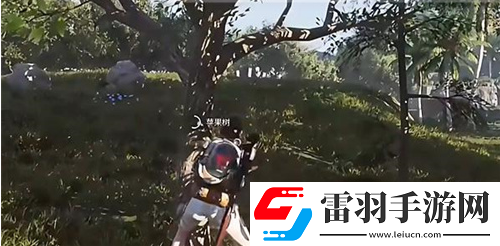 七日世界雪國(guó)人生蘋果獲得方法是啥