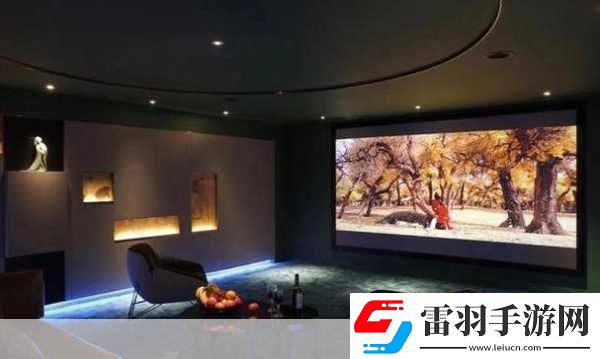 成都私人家庭影院的推薦理由韓國