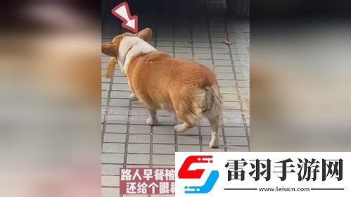 叼人現(xiàn)象探秘