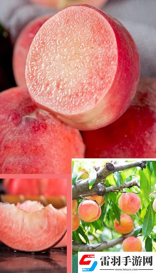 桃醉意國(guó)界的新晉網(wǎng)紅！