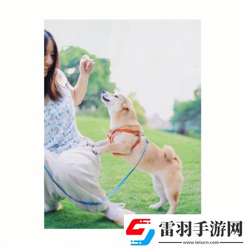 狗兒大變身江湖新秀崛起記