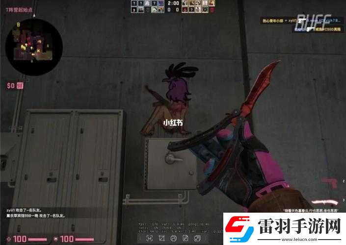 暴躁老阿姨CSGO