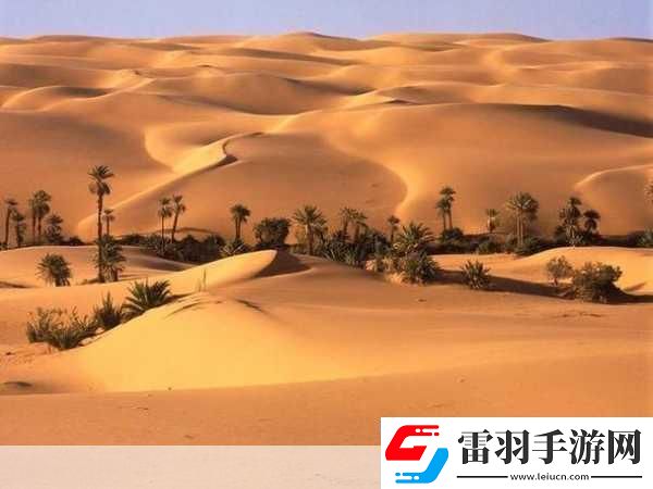 歐美無人區(qū)碼卡二卡3卡2022
