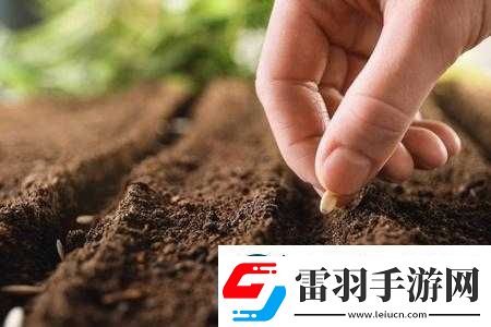 耕種媽媽肥沃的土地