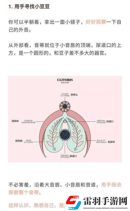 怎么讓小豆豆變大的方法