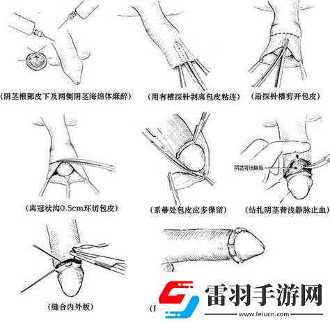 探索**的奧秘