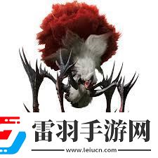 怪物獵人荒野刺花蜘蛛如何組建最佳蜘蛛獵人陣容