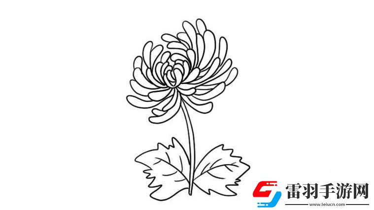 菊花與筆的數(shù)量之謎
