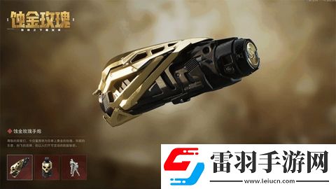 三角洲行動(dòng)蝕金玫瑰外觀什么樣