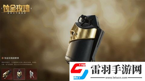 三角洲行動(dòng)蝕金玫瑰外觀什么樣