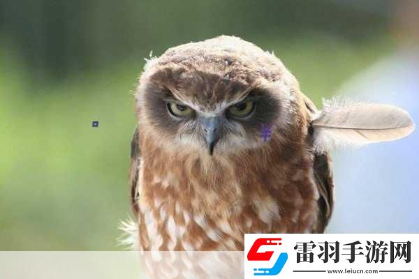 137VT最大但人文藝術(shù)